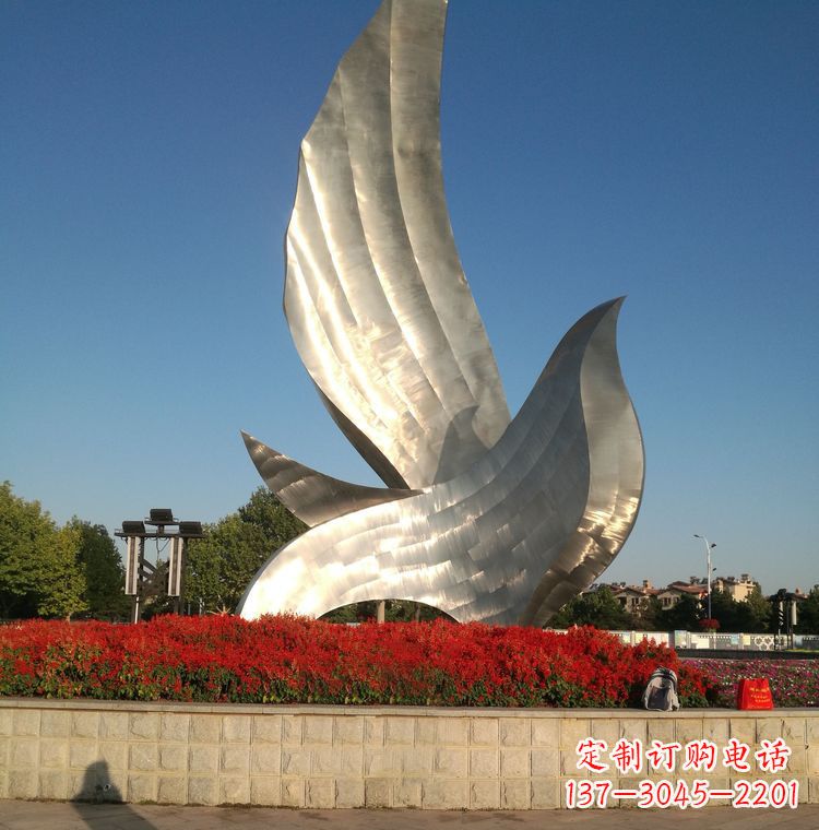 南京“鸽子之恋”——让爱飞翔