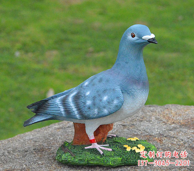 南京和平鸽传承着永恒的爱