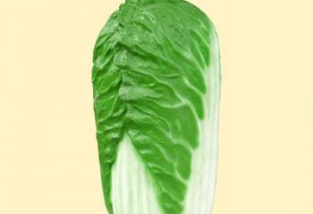 南京玻璃钢大白菜雕塑
