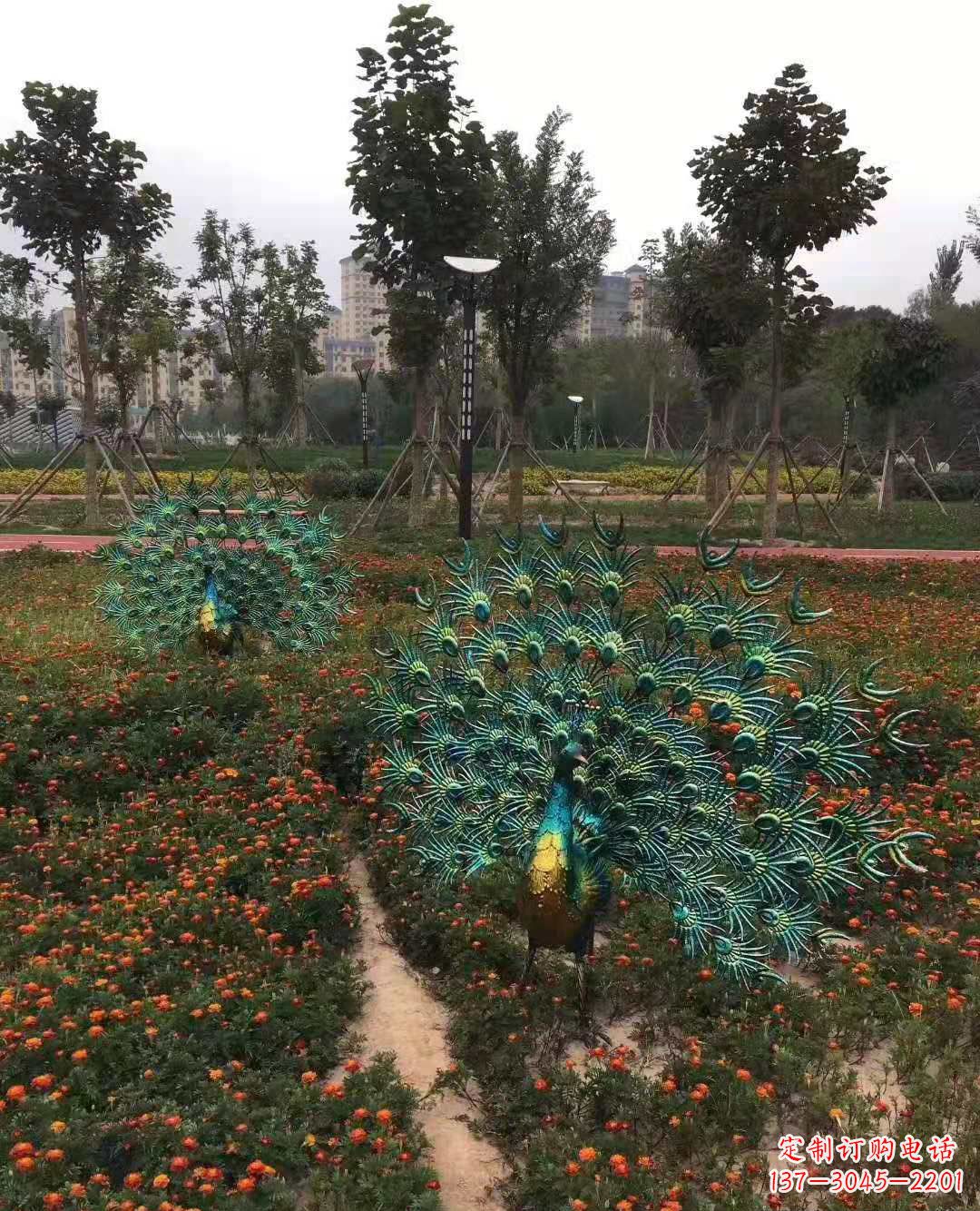 南京不锈钢彩绘孔雀雕塑