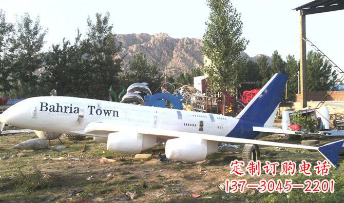 南京静静躺在大地上的不锈钢飞机雕塑
