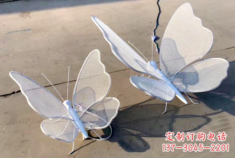 南京不锈钢钢丝网格蝴蝶雕塑——灯光下的灵动之美