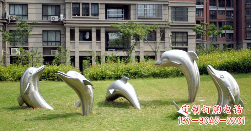南京海豚的浪漫