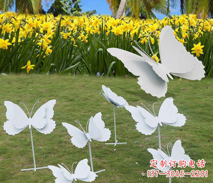 南京不锈钢镜面蝴蝶雕塑