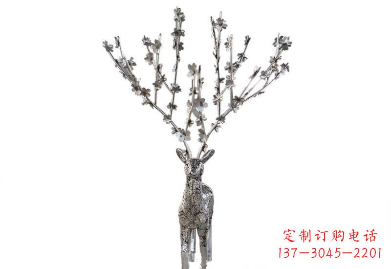 南京梅花鹿的优雅身姿