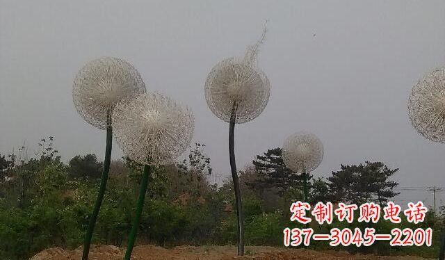 南京蒲公英的绚丽多彩