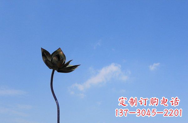 南京公园不锈钢荷花雕塑