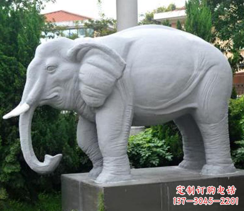 南京公园动物大理石大象石雕 (5)