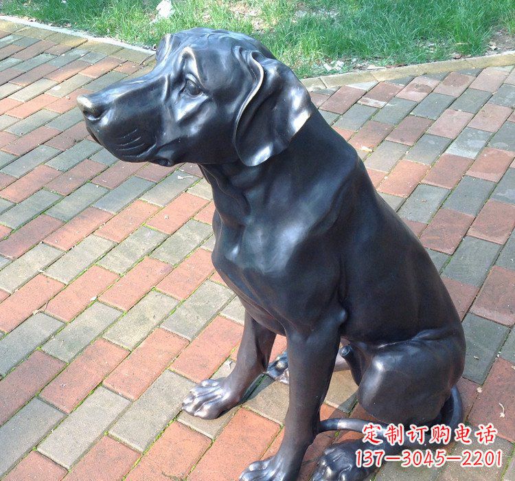 南京公园动物铜雕狗
