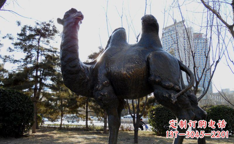 南京优美雕刻骆驼铜雕塑