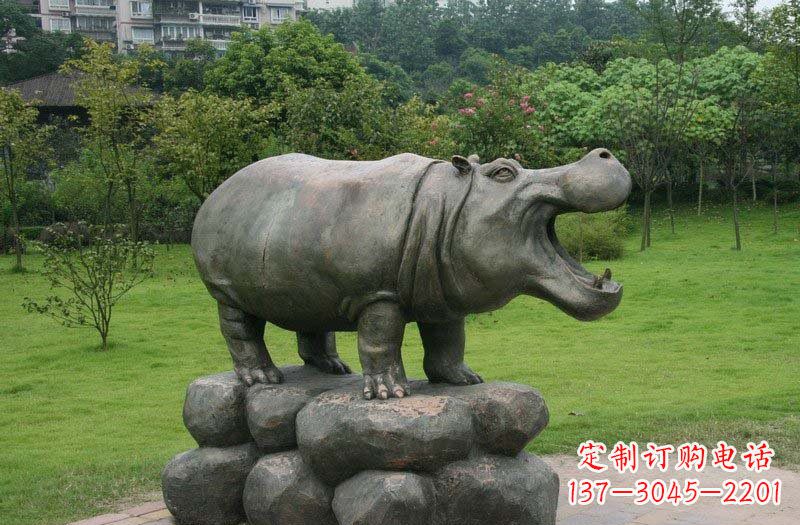 南京海洋动物河马铜雕塑