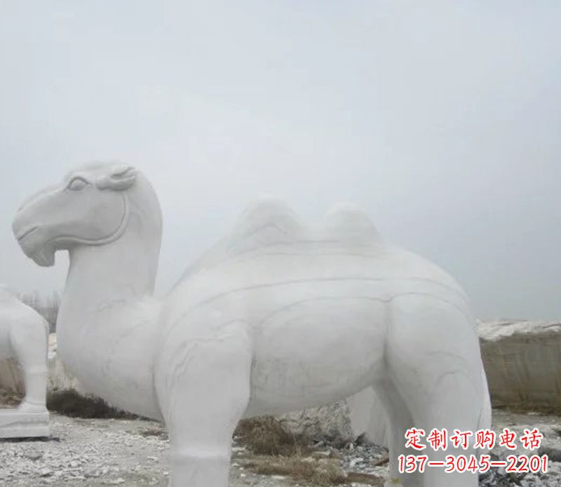 南京汉白玉骆驼石雕塑,装点家居空间