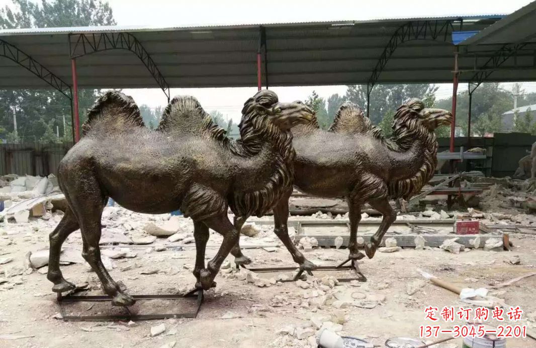 南京欣赏大自然的艺术之作——骆驼铜雕