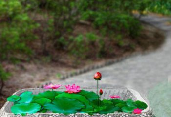 南京独特的福字雕塑，为家庭增添乐趣