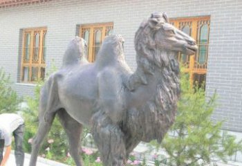 南京精美的骆驼铜雕，提升您的公园气质