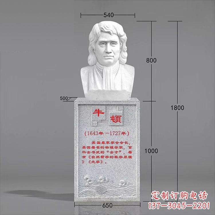 南京艺术精灵:牛顿汉白玉石头像雕塑