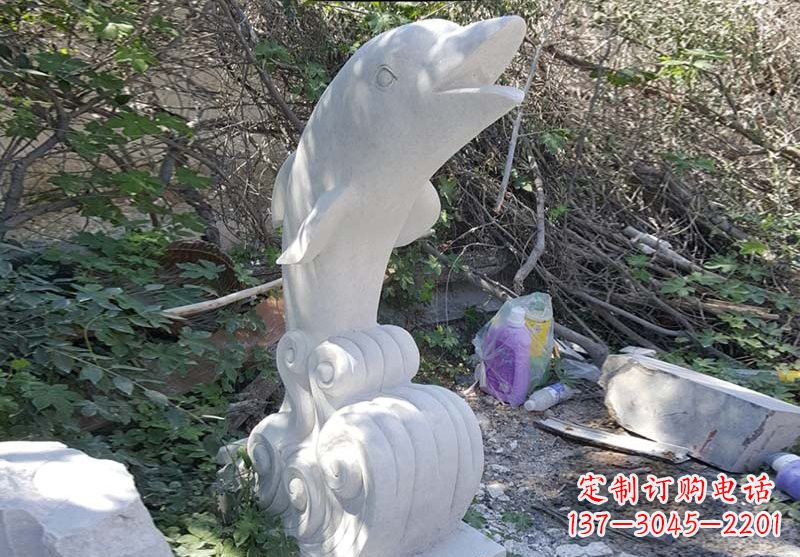 南京海豚雕塑:悠闲无比的精灵