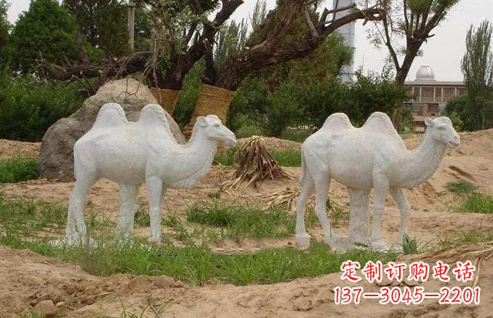 南京欣赏大自然,石雕骆驼公园动物雕塑邀请您