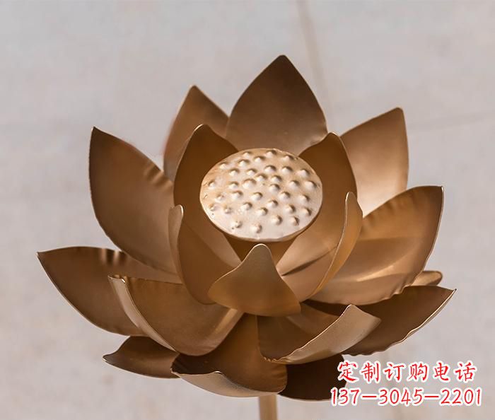 南京铜雕景观荷花