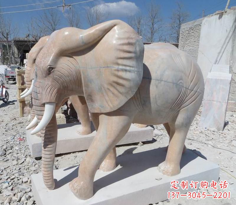 南京晚霞红卷鼻大象