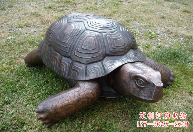 南京乌龟铜雕222