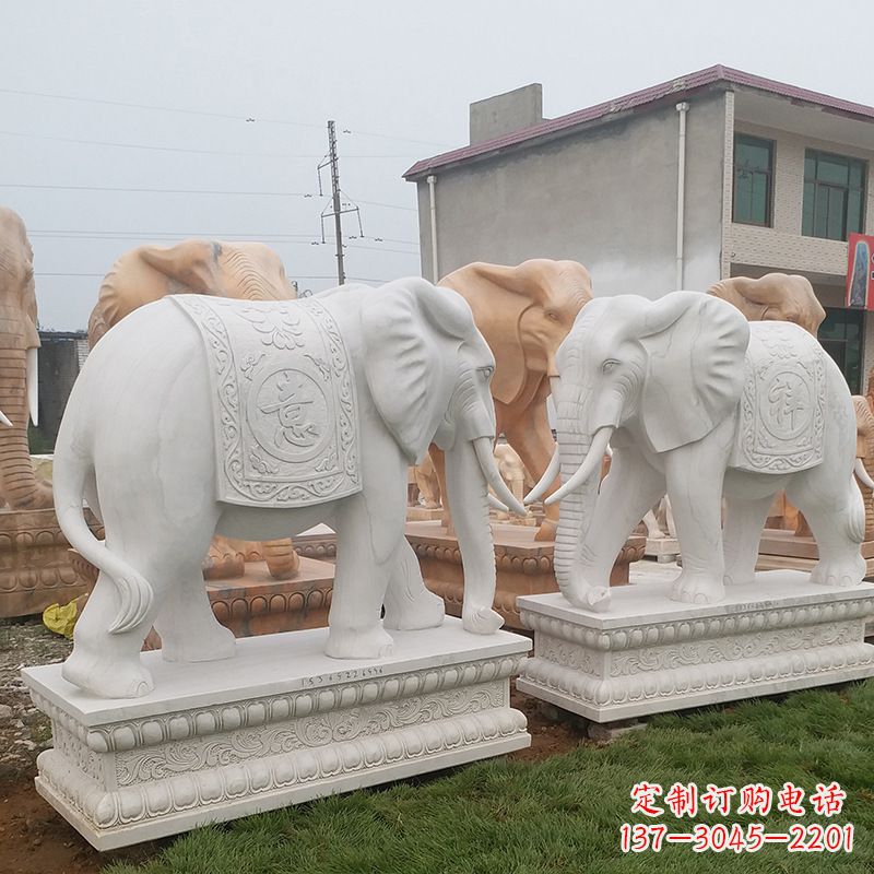 南京学校石雕大象