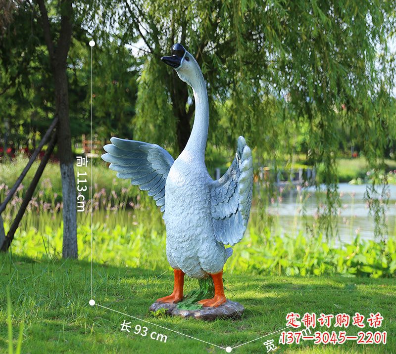 南京站立的灰色展翅天鹅