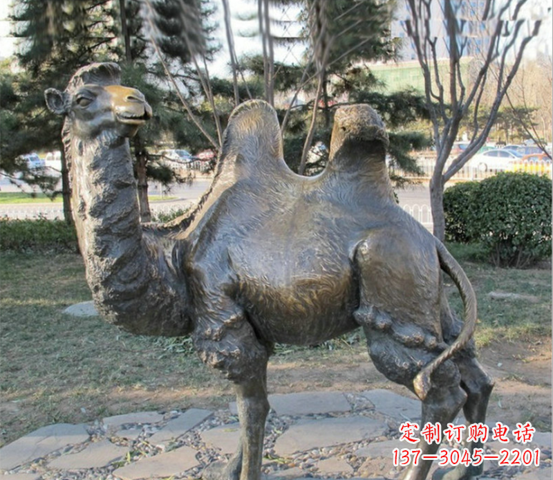 南京骆驼铜雕塑